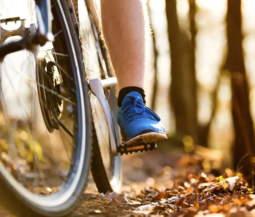 Un ciclista pedala su un sentiero autunnale, foglie cadute e luce dorata.